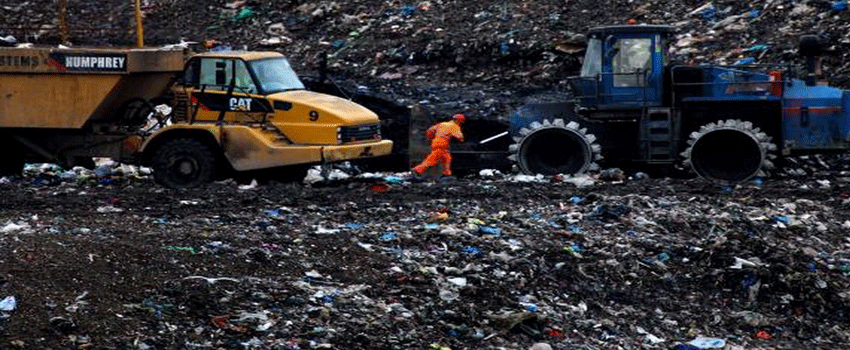 Essay: Catering for waste reduction strategies