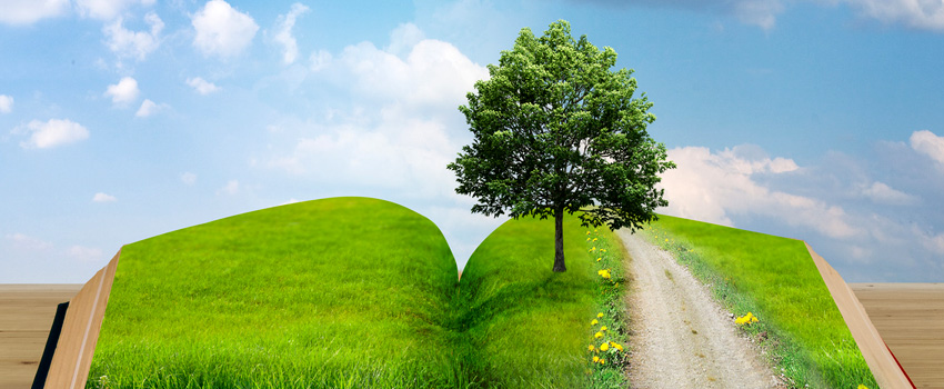 Going Green - Organising and the Environment