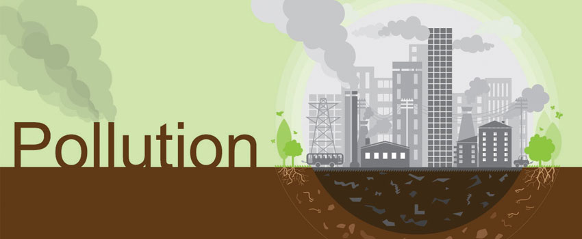 Hiding from a warmer climate in the forest