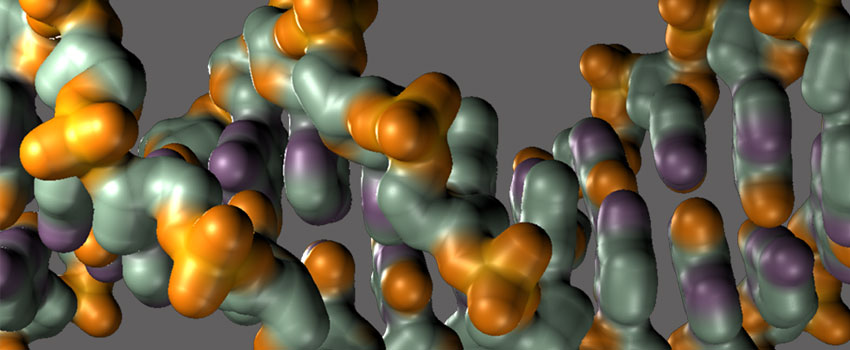 Introducing Communications Biology