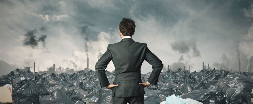 Why People Harm the Environment Although They Try to Treat It Well: An Evolutionary-Cognitive Perspective on Climate Compensation