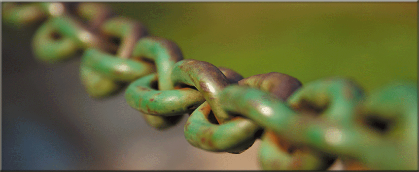 Is Your Supply Chain Dynamic Enough For Todayâ€™s Business Environment?