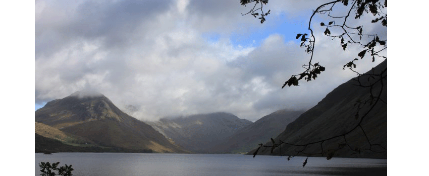 A Systems View of Supply Chains