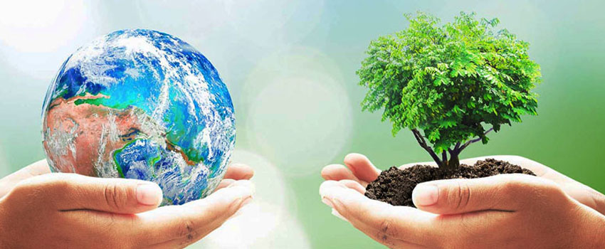 When It Comes to CSR, Size Matters