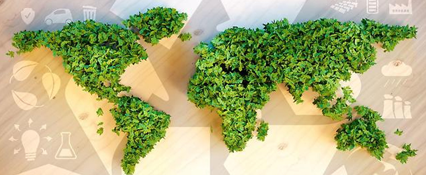 Are companies creating a CSR strategy for marketing or environmental reasons?