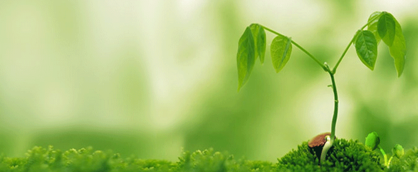 Alcatel-Lucent affirms its commitment to responsible business innovation