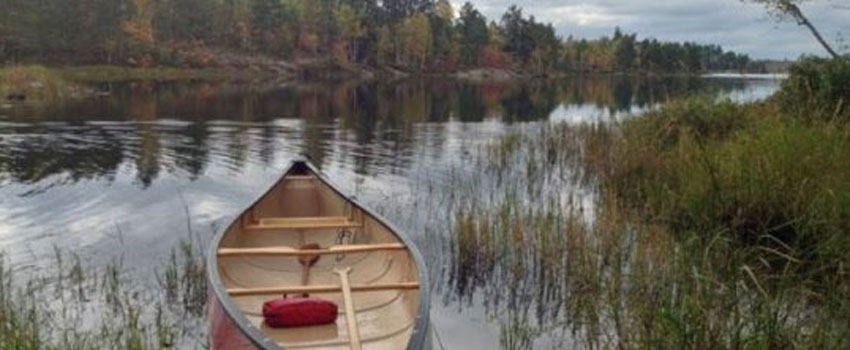 Greenhouse gas `feedback loop` discovered in freshwater lakes