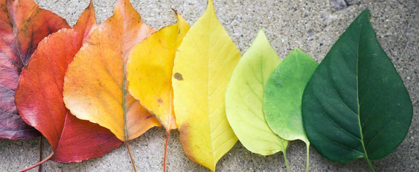 Integrated Reporting Framework aims to promote lasting sustainable change