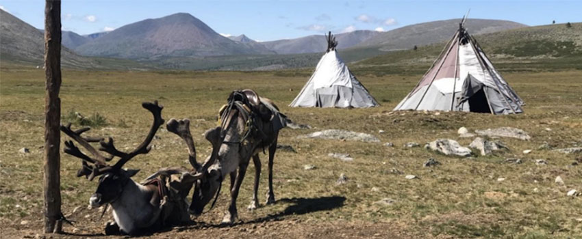 Warming temperatures threaten reindeer herding and the preservation of cultural artifacts in Mongolia.