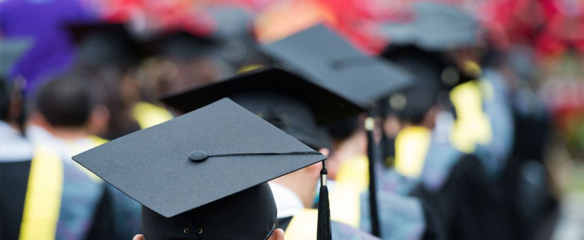 Undergraduate education: A prescription for failure