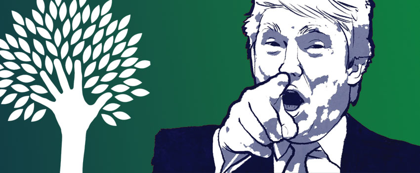 As Trump Signals Climate Action Pullback, Local Leaders Push Forward